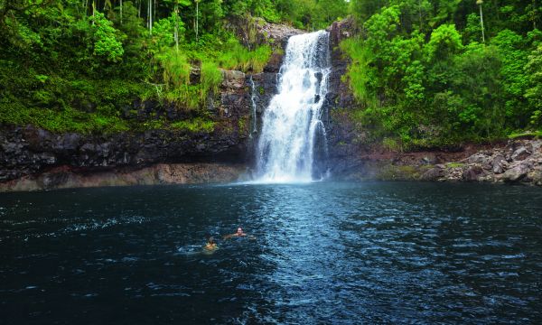 De paradijselijke allure van Hawaii