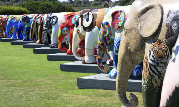 18 juni feestelijke opening Elephant Parade