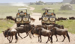 Eindeloze mogelijkheden met Jambo Safari Club